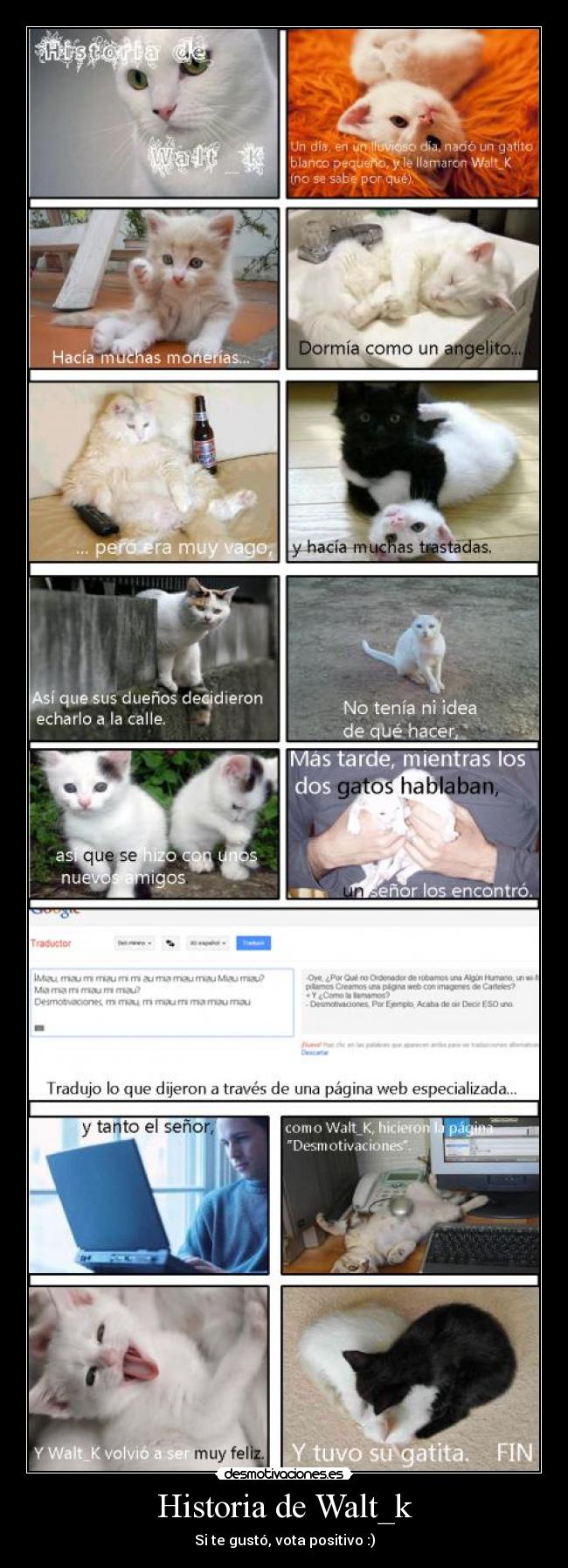 Historia de Walt_k -