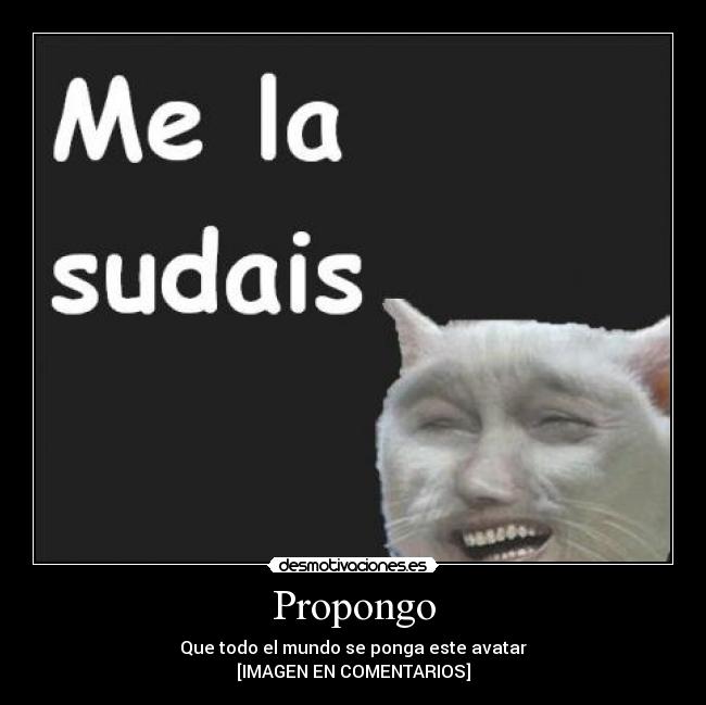 Propongo - Que todo el mundo se ponga este avatar
[IMAGEN EN COMENTARIOS]