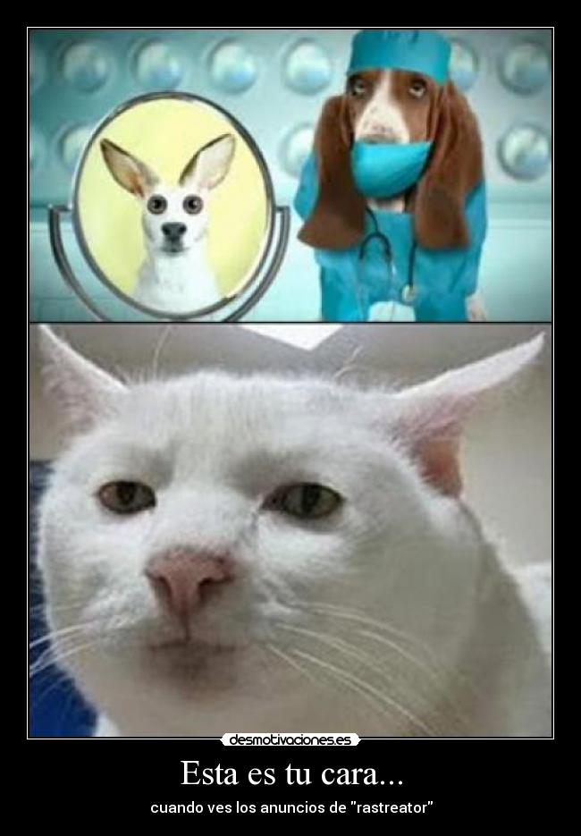 Esta es tu cara... -