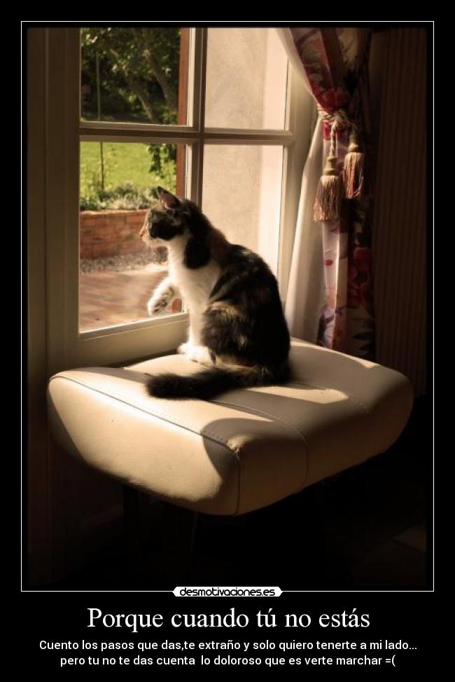 carteles forever alone desmotivaciones