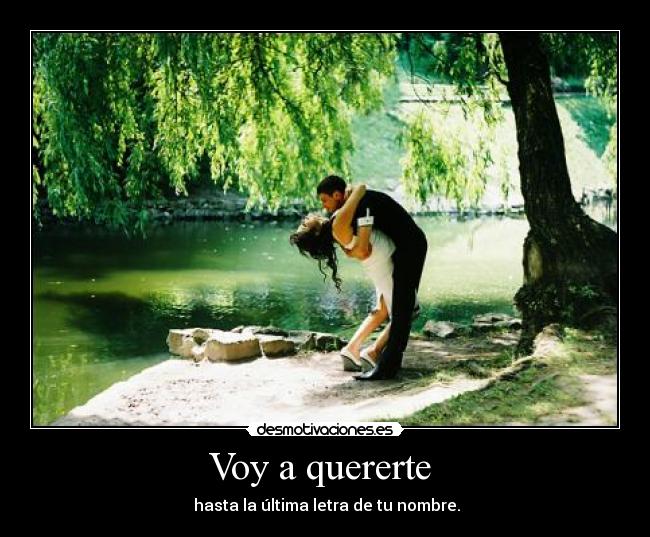 Voy a quererte  - 