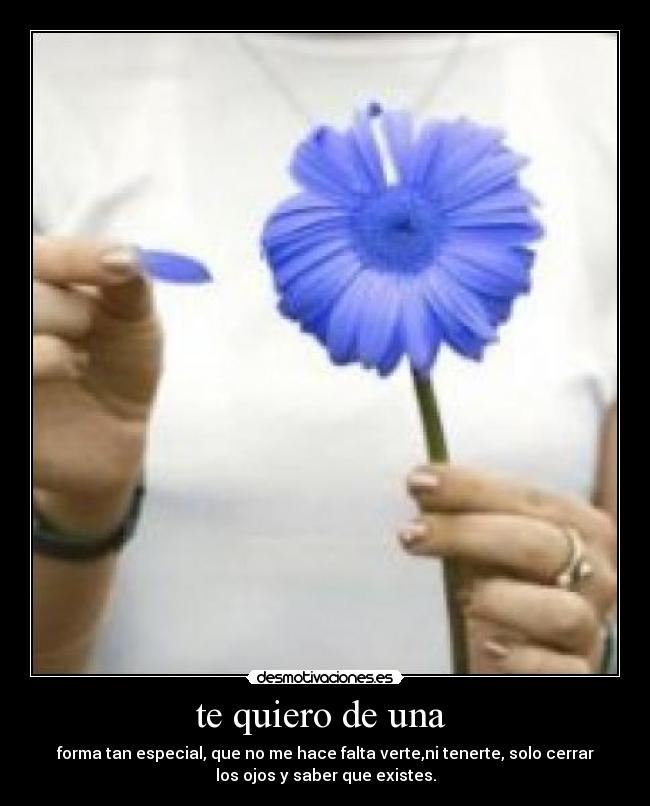 te quiero de una  - forma tan especial, que no me hace falta verte,ni tenerte, solo cerrar
los ojos y saber que existes.