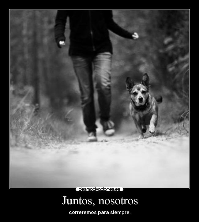 Juntos, nosotros -
