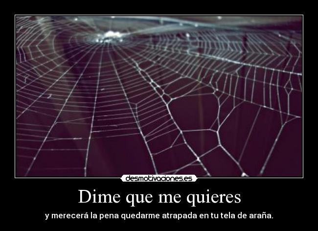 Dime que me quieres - 