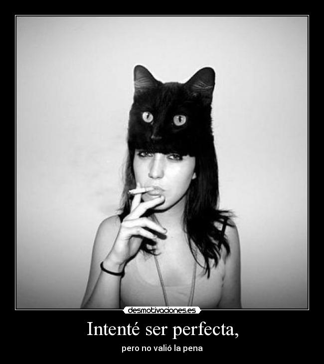 carteles intente ser perfecta pero valio pena desmotivaciones