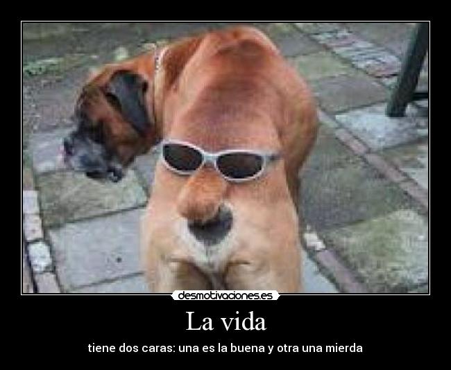 La vida - tiene dos caras: una es la buena y otra una mierda