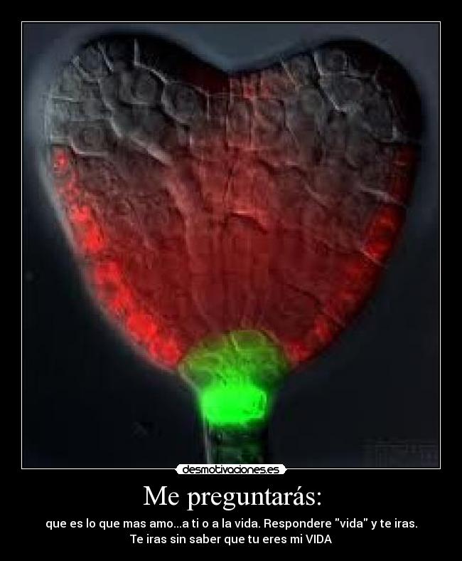 carteles wtf desmotivaciones