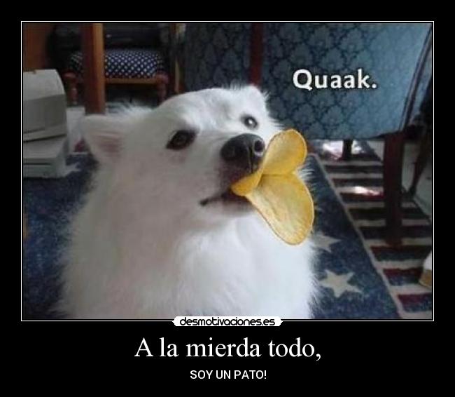 carteles todo cambia desmotivaciones