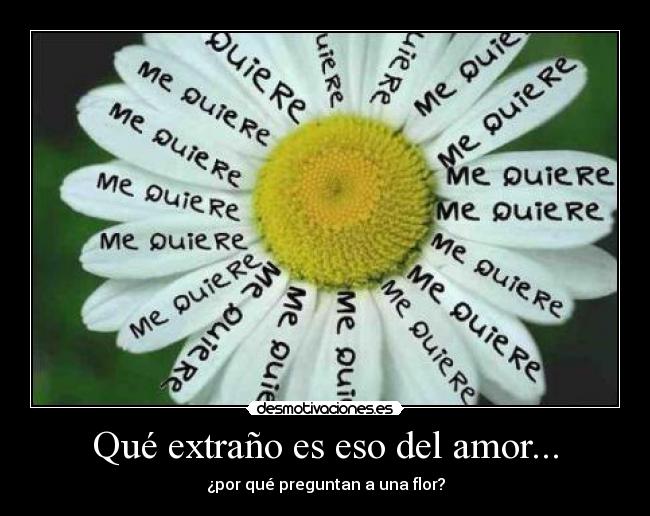 Qué extraño es eso del amor... -