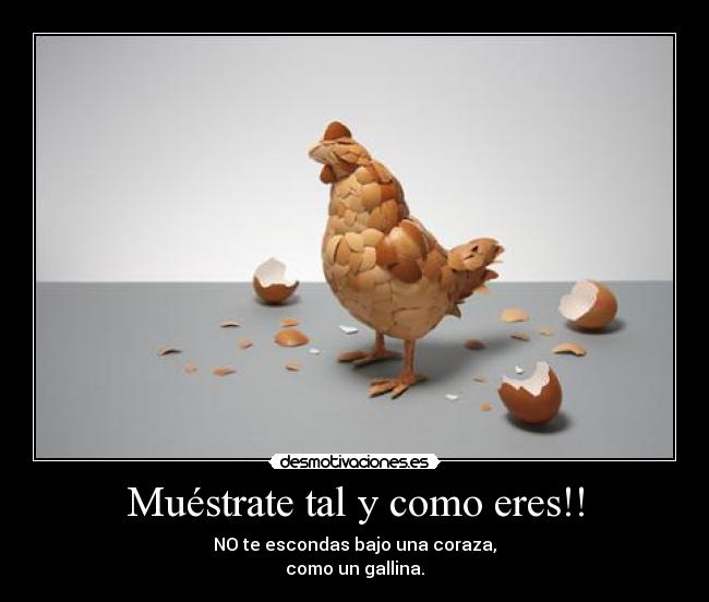 Muéstrate tal y como eres!! - NO te escondas bajo una coraza,
como un gallina.