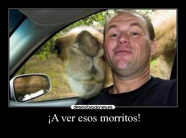 ¡A ver esos morritos! -