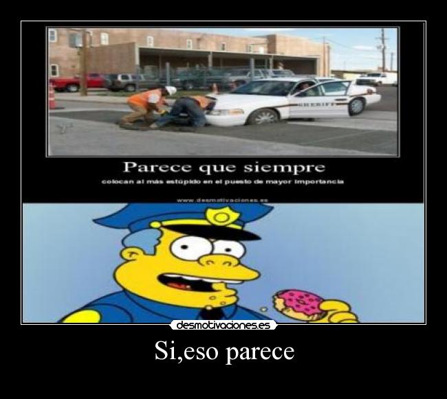 Si,eso parece -