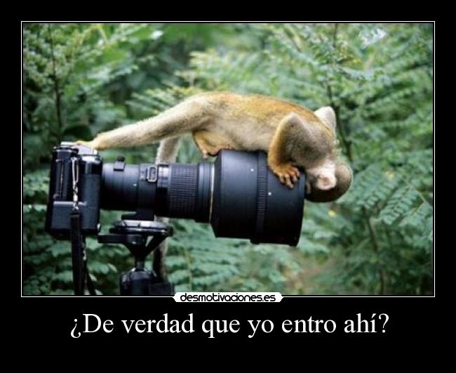 ¿De verdad que yo entro ahí? -