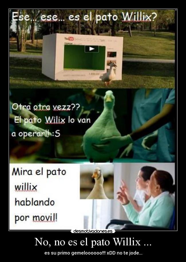 No, no es el pato Willix ... - es su primo gemeloooooo!!! xDD no te jode...