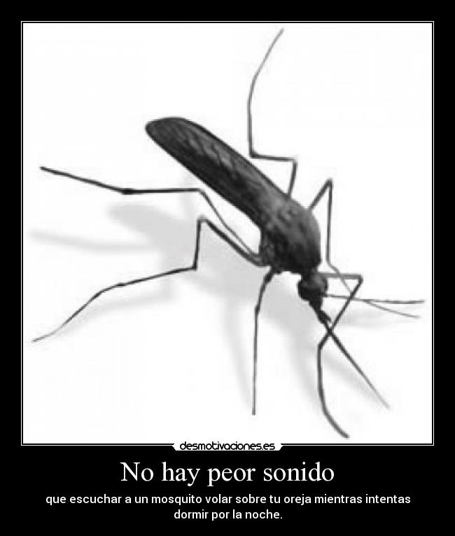 No hay peor sonido - 