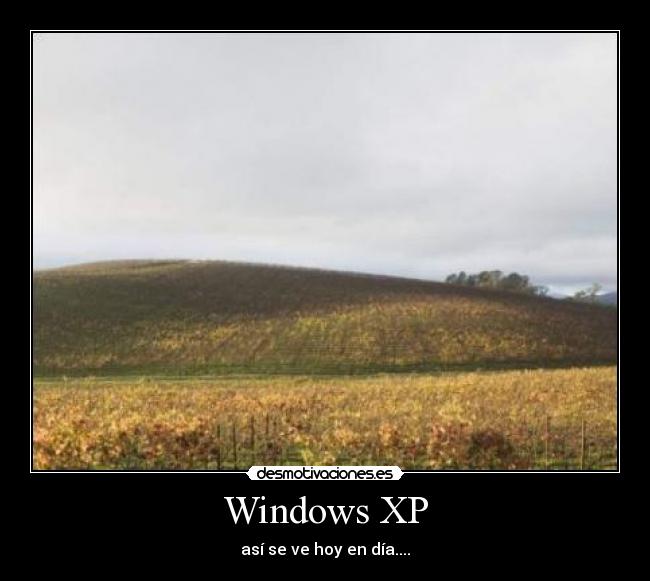 Windows XP - 