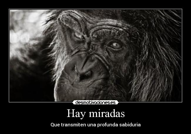 carteles lrc1894 miradas desmotivaciones