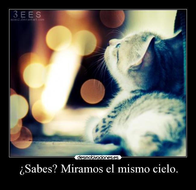 ¿Sabes? Miramos el mismo cielo. - 