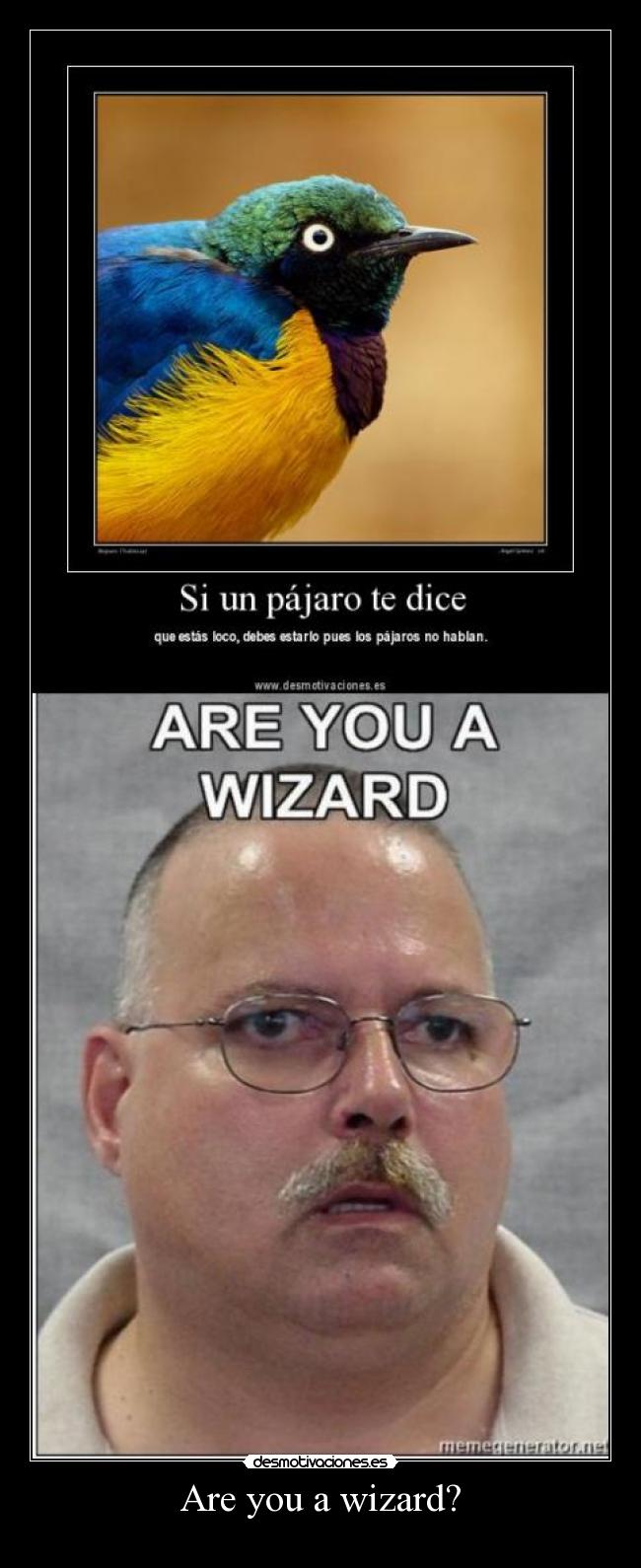 carteles are you wizard rhe migmay desmotivaciones