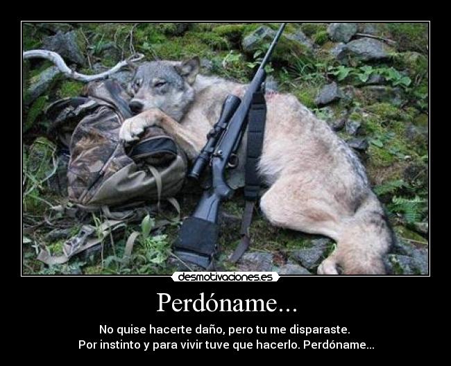 Perdóname... - No quise hacerte daño, pero tu me disparaste. 
Por instinto y para vivir tuve que hacerlo. Perdóname...