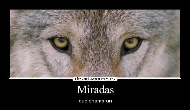 Miradas - que enamoran