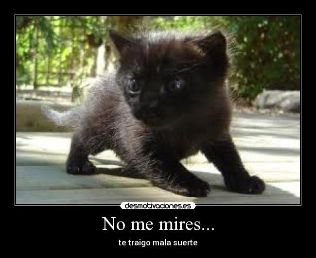 No me mires... -