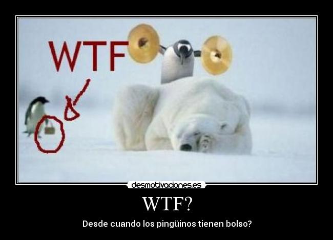 WTF? - Desde cuando los pingüinos tienen bolso?