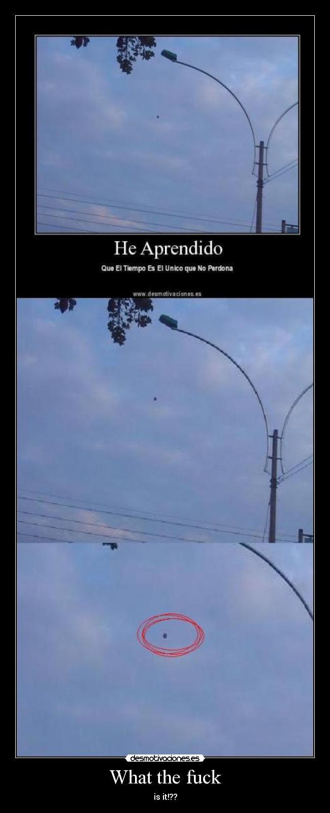 What the fuck - is it!??