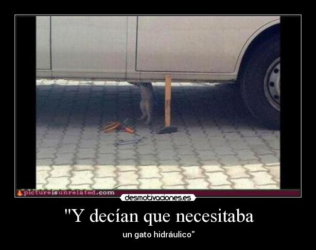 carteles gato desmotivaciones