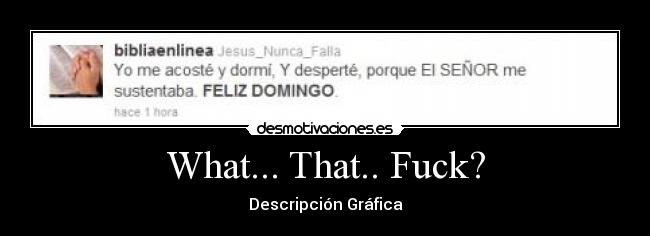 What... That.. Fuck? - Descripción Gráfica