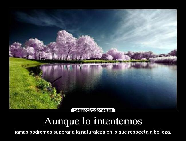 Aunque lo intentemos -