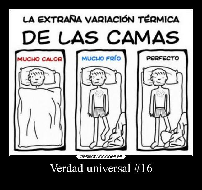 Verdad universal #16 -