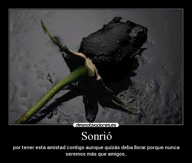 Sonrió - por tener esta amistad contigo aunque quizás deba llorar porque nunca
seremos más que amigos..