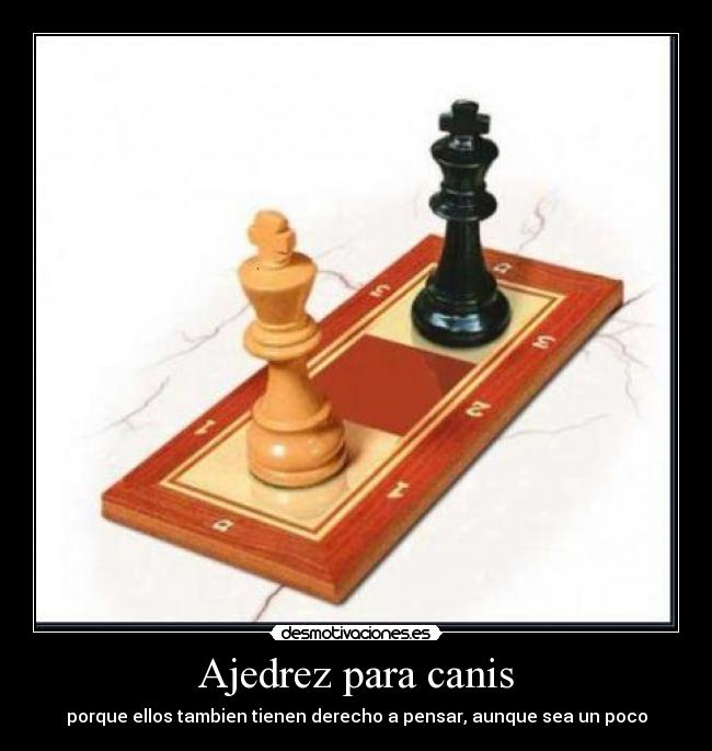 Ajedrez para canis -