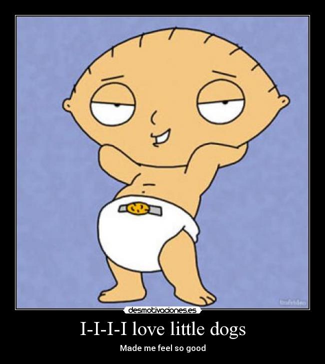 I-I-I-I love little dogs -