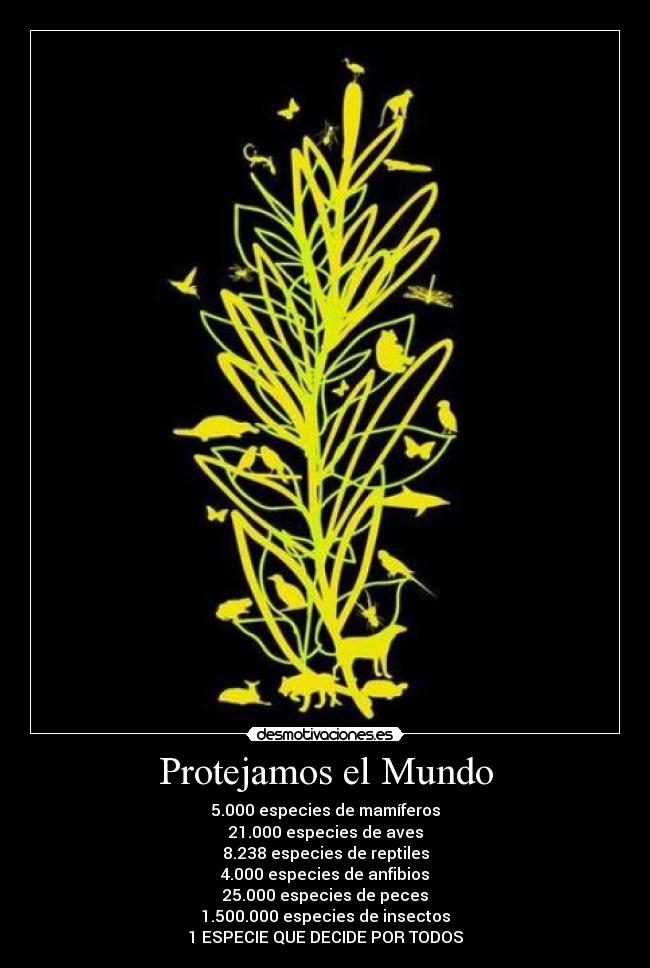 Protejamos el Mundo -