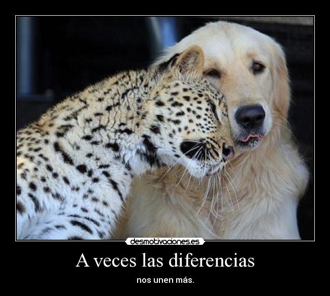 A veces las diferencias -