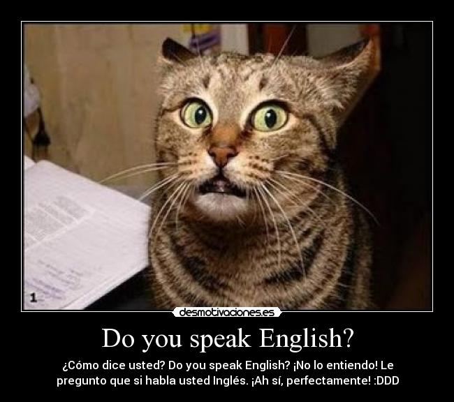 Do you speak English? - 
