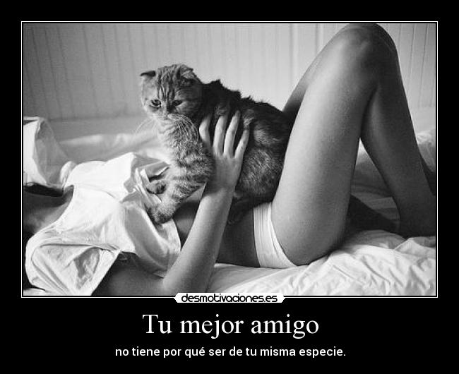 Tu mejor amigo - no tiene por qué ser de tu misma especie.