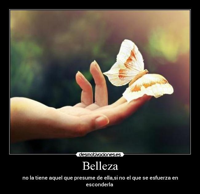 carteles bellaza desmotivaciones