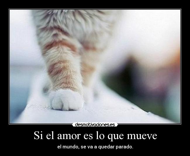 Si el amor es lo que mueve - el mundo, se va a quedar parado.
