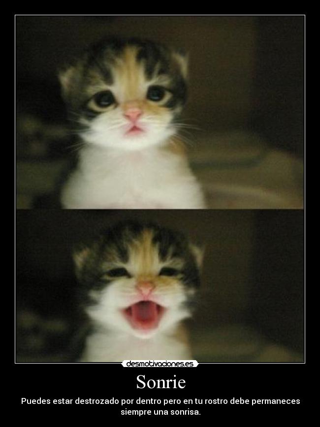 carteles bollicao  shin chan guuusta desmotivaciones