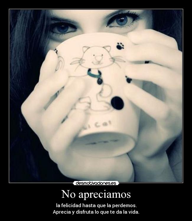 No apreciamos - 