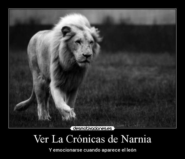Ver La Crónicas de Narnia -