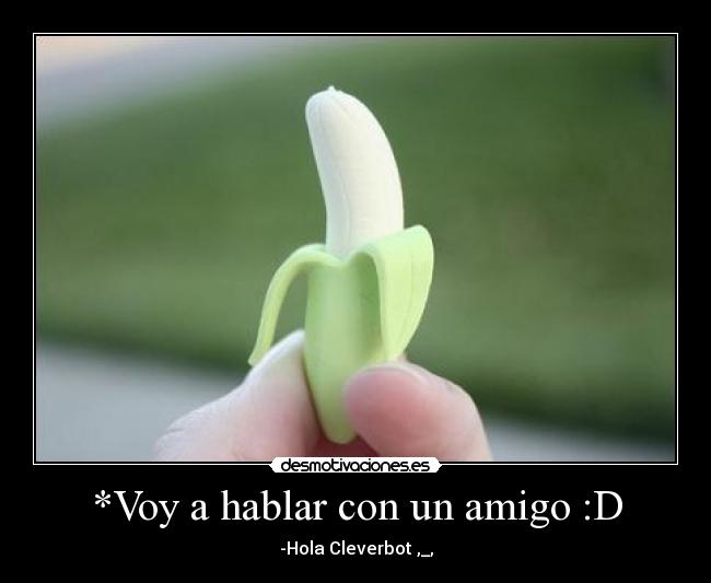 *Voy a hablar con un amigo :D - -Hola Cleverbot ,_,