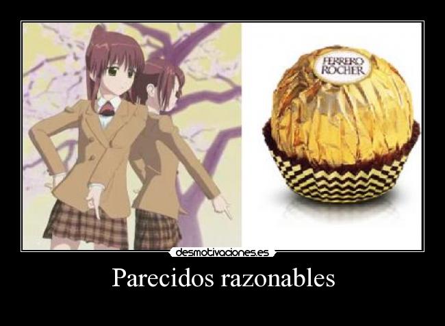 carteles ferrero rocher son dulces como bobon kissxsis ako riko desmotivaciones