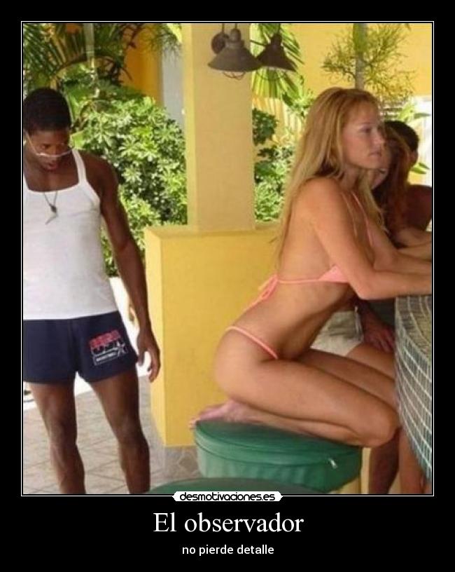 El observador - no pierde detalle