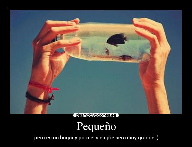 carteles pequeno desmotivaciones