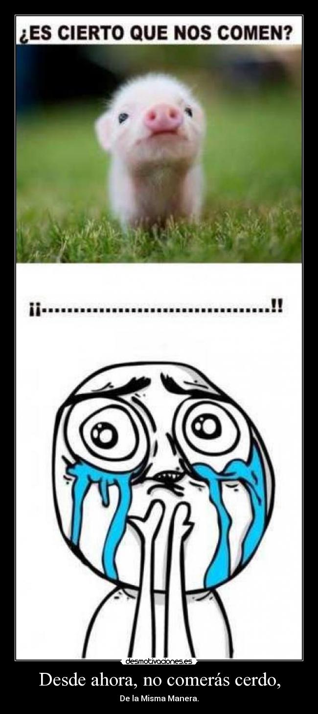 Desde ahora, no comerás cerdo, - De la Misma Manera.