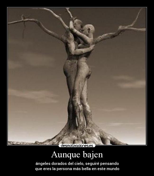 Aunque bajen - ángeles dorados del cielo, seguiré pensando
que eres la persona más bella en este mundo